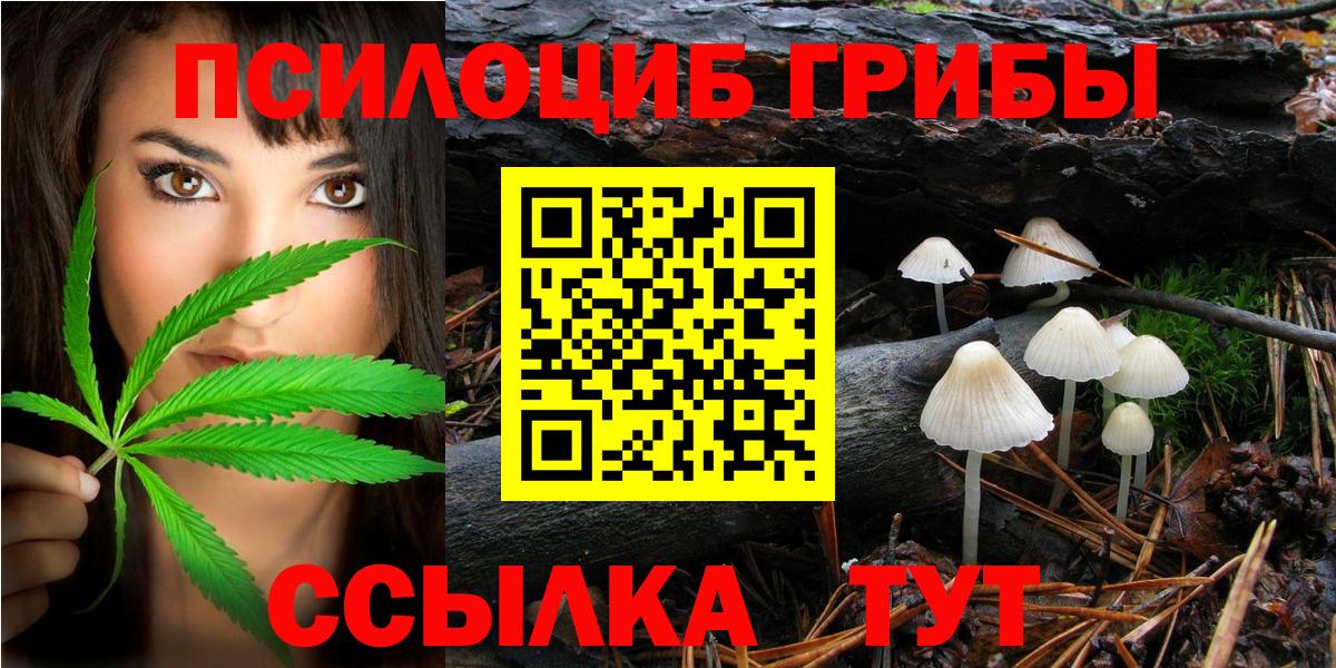 Галлюциногенные грибы GOLDEN TEACHER Междуреченск