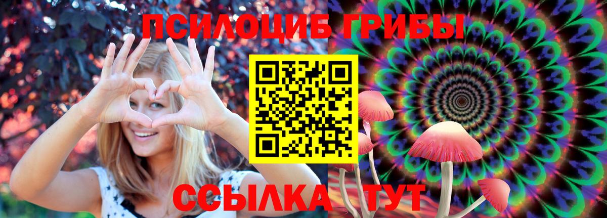 Галлюциногенные грибы мухоморы  Вход с VPN  Междуреченск 